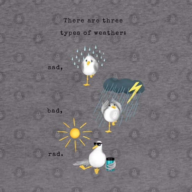 Three Types of Weather by illucalliart